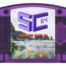 Cartucho Summer Cart 64 color púrpura para Nintendo 64 con acceso a más de 5400 juegos clásicos retro