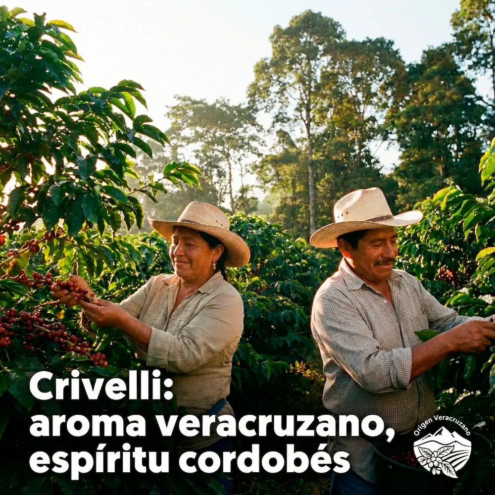 Café molido Crivelli Cordoba ecológico de exportación